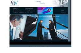 Our webdesigners created the Carpe Diem Ventures website and used flash to animate text on photographs